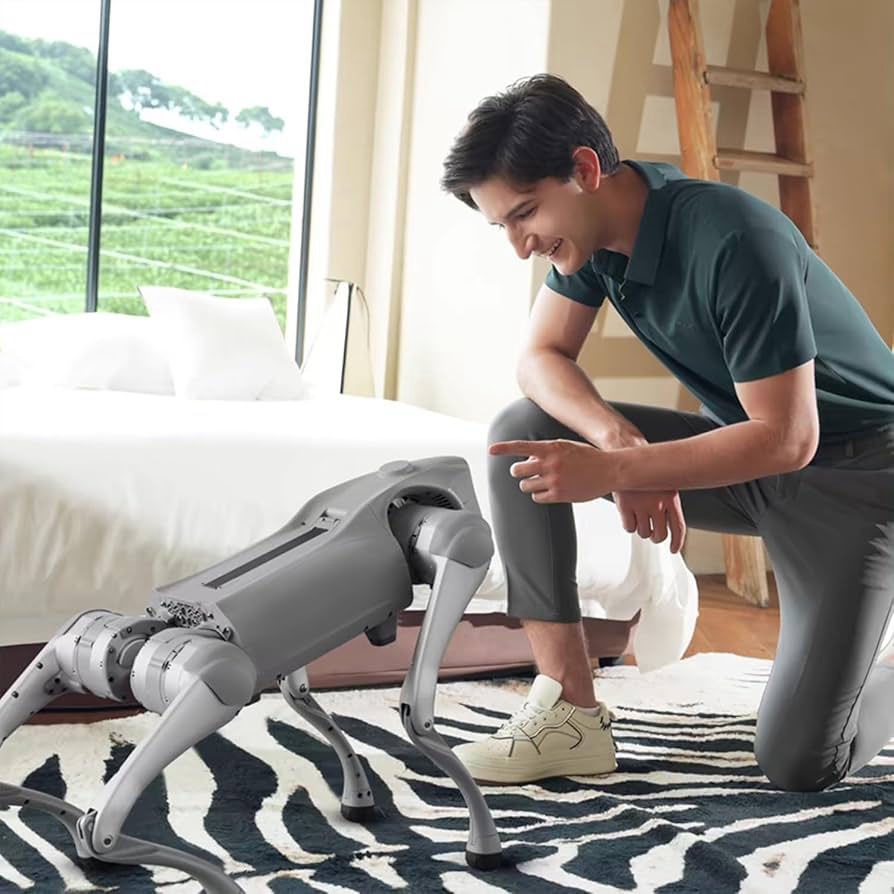robots in de zorg